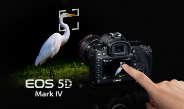 Do not want to miss the goal focusing on the target.