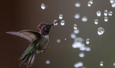 If you never tried, you will never know you can do it.