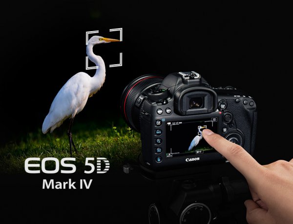 Do not want to miss the goal focusing on the target.