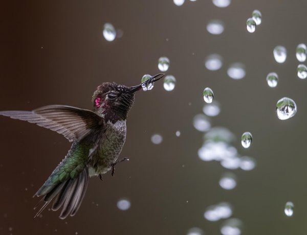 If you never tried, you will never know you can do it.