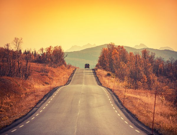 The only road that leads to success is when you know who is behind your wheel. "Jimmy Deliazard"